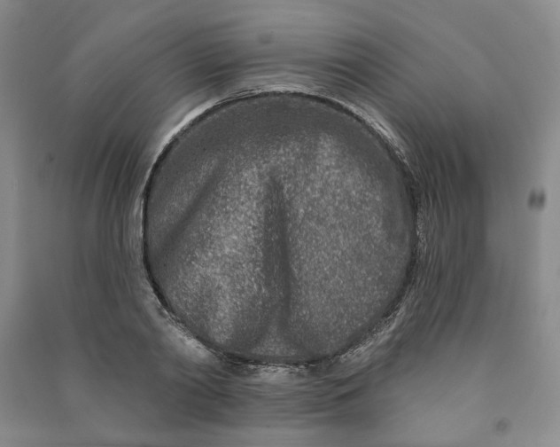 X0000090870790200708171624