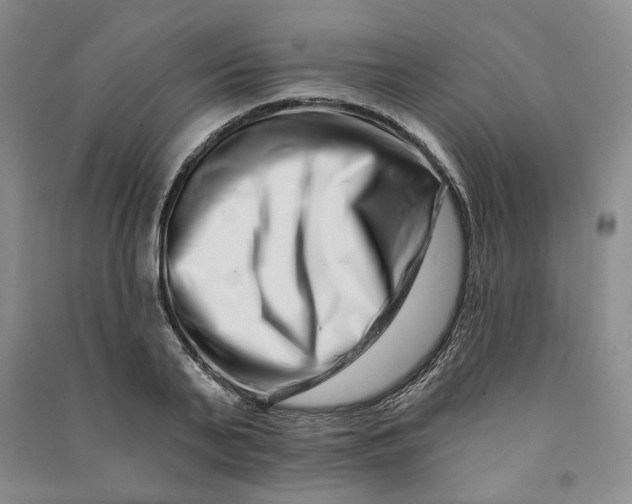 X0000090870791200708171624