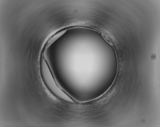 X0000090870792200708171624