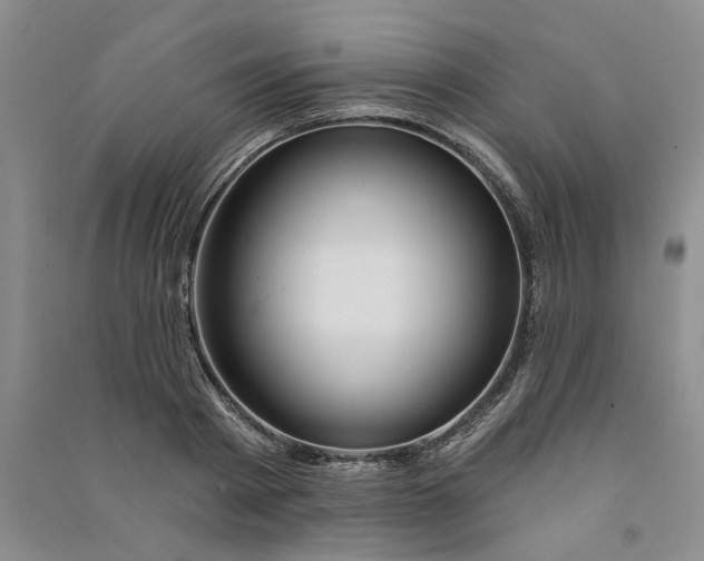 X0000090870793200708171624