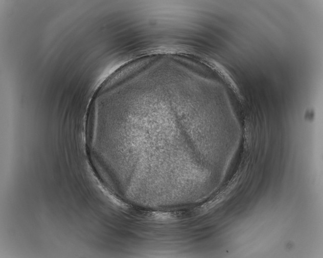 X0000090870794200708171624