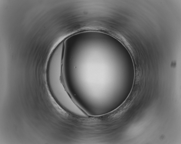 X0000090870795200708171624