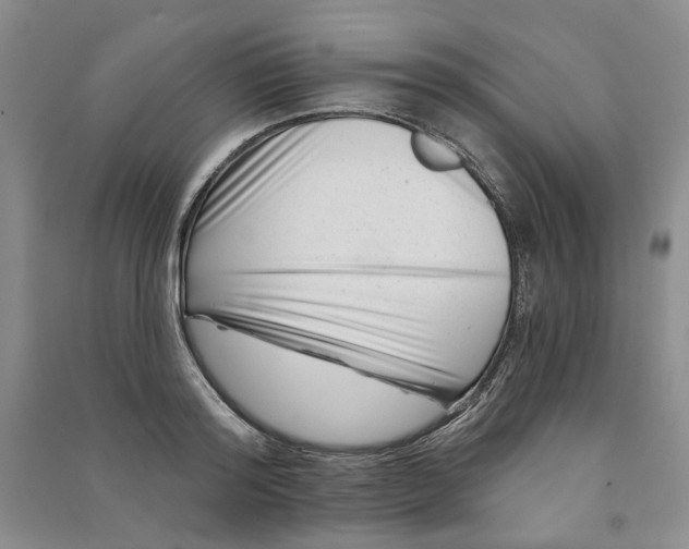 X0000090870796200708171624