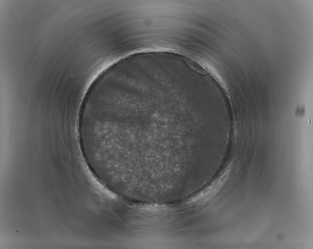 X0000090870797200708171624