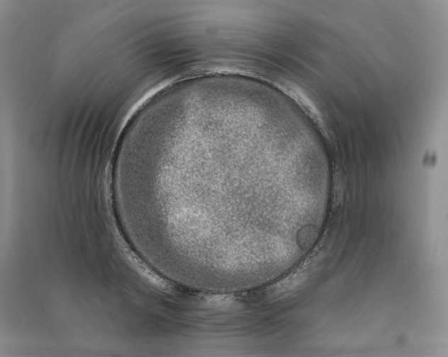 X0000090870798200708171624