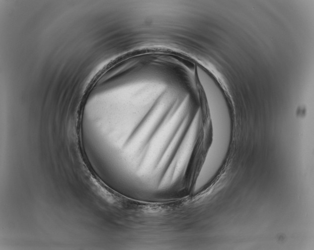 X0000090870799200708171624