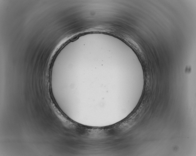 X0000090870800200708171624