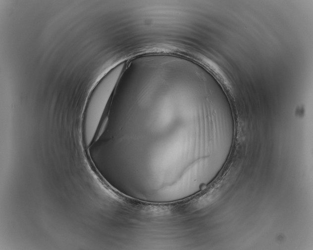 X0000090870802200708171624