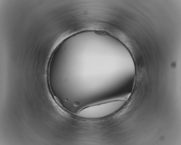 X0000090870803200708171624