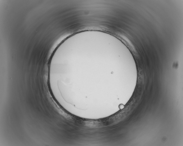 X0000090870804200708171624