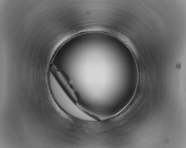 X0000090870805200708171624