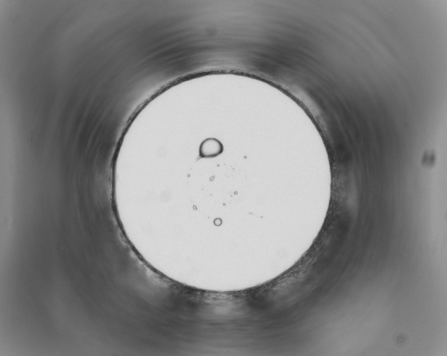 X0000090870807200708171624