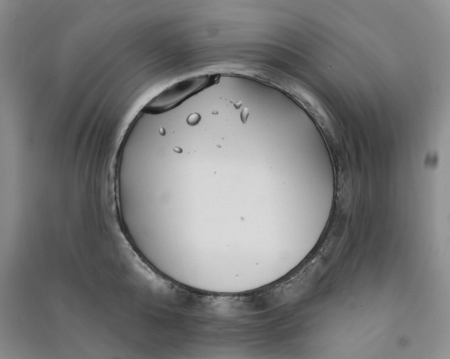 X0000090870808200708171624