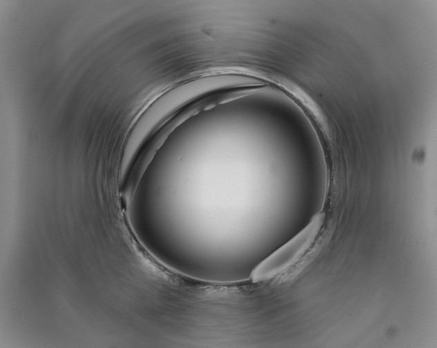 X0000090870809200708171624