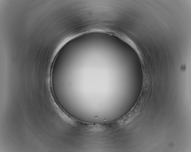 X0000090870811200708171624