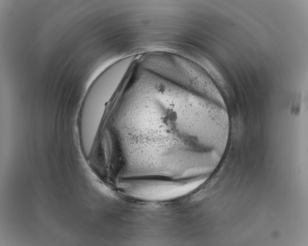 X0000090870814200708171624