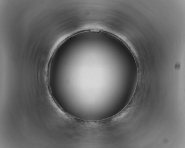 X0000090870815200708171624