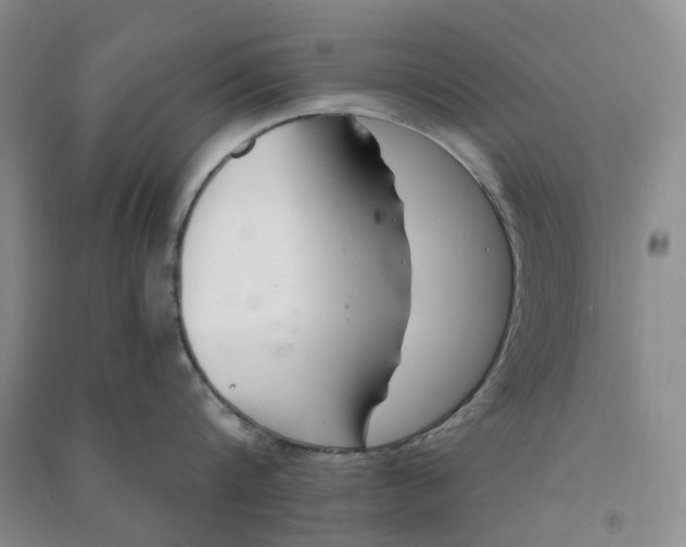 X0000090870816200708171624