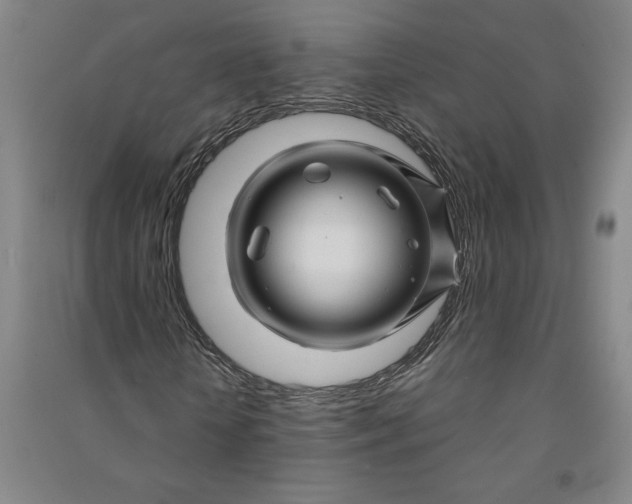 X0000090870818200708171623