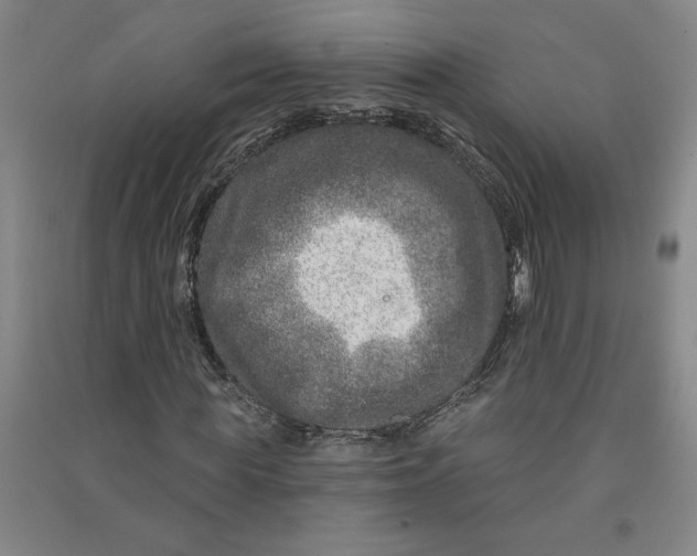 X0000090870819200708171623