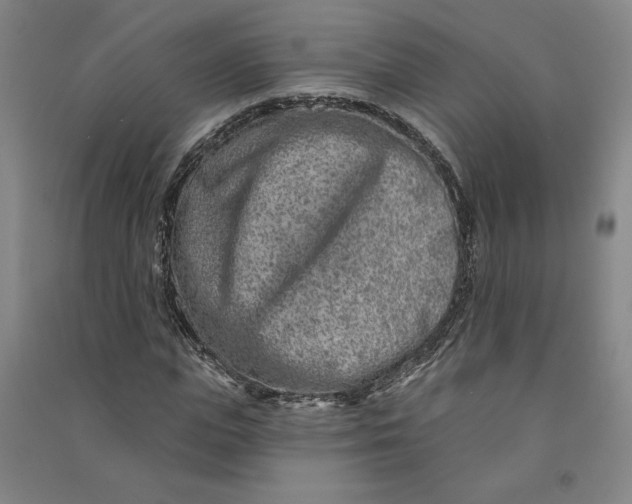 X0000090870823200708171623