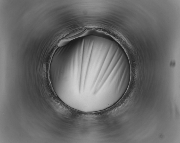 X0000090870825200708171623