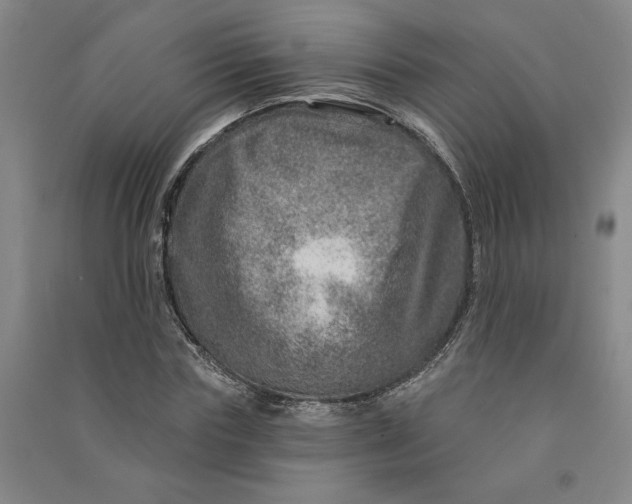 X0000090870827200708171623