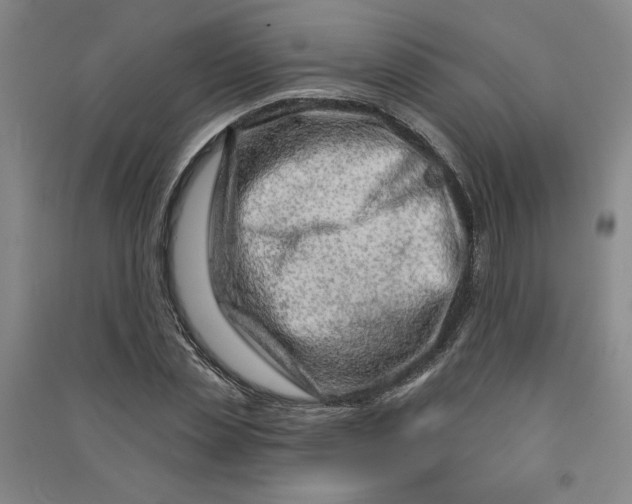 X0000090870829200708171623