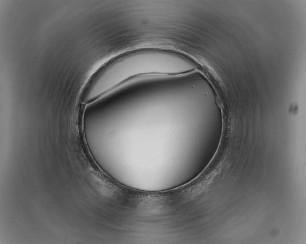 X0000090870830200708171623