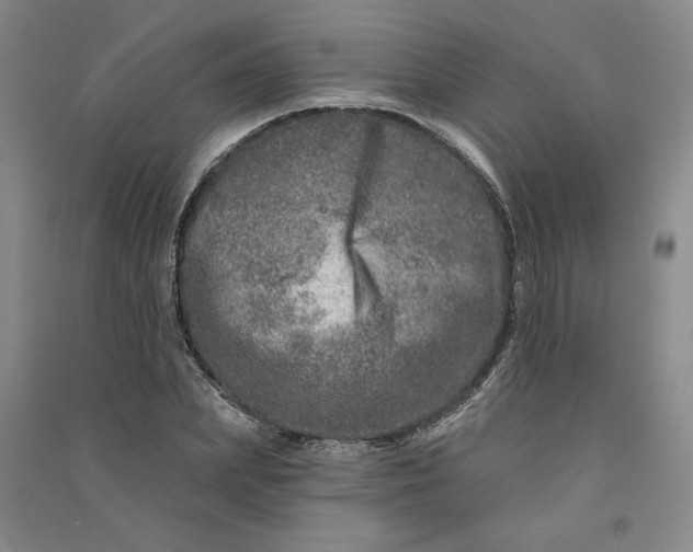 X0000090870831200708171623