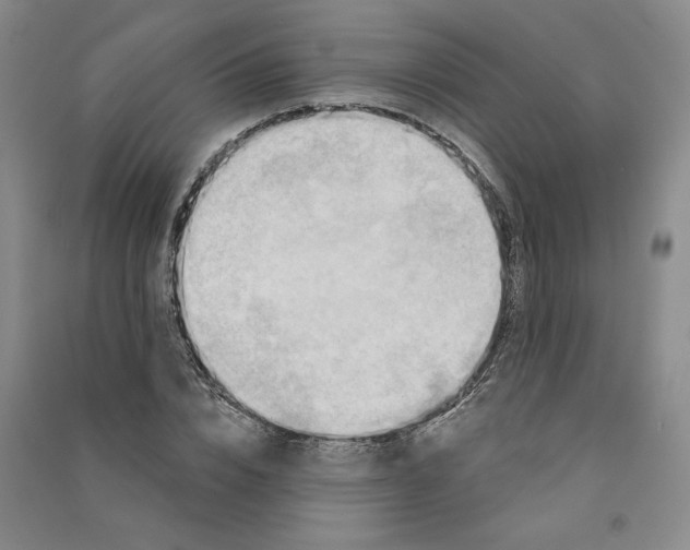 X0000090870832200708171623