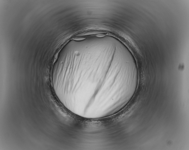 X0000090870833200708171623