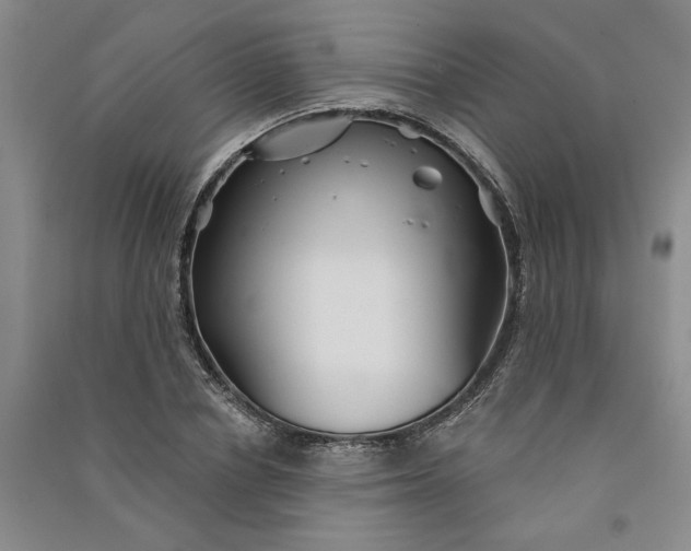 X0000090870834200708171623