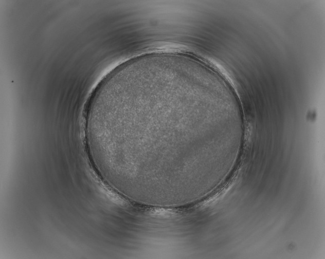 X0000090870835200708171623