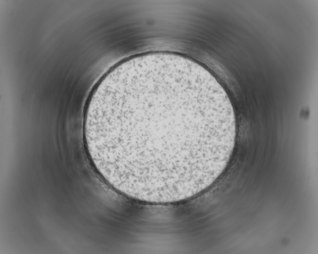 X0000090870836200708171623