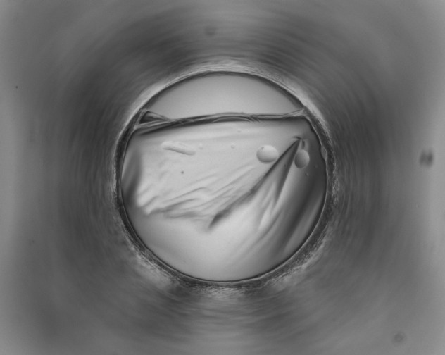 X0000090870837200708171623