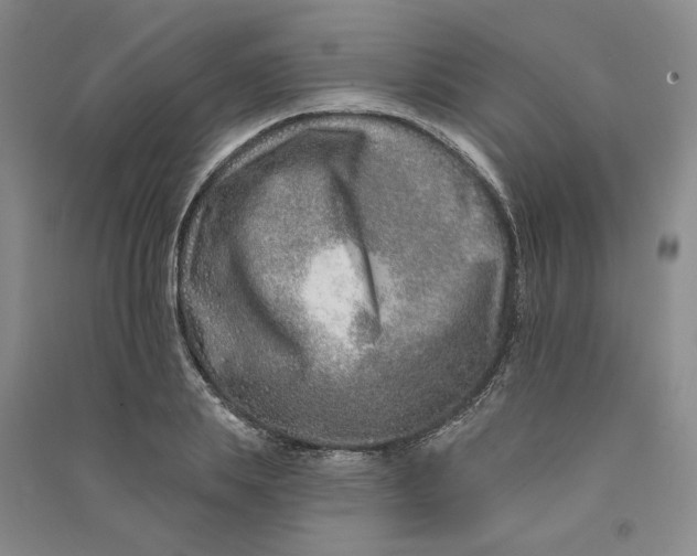 X0000090870839200708171623