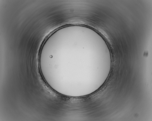 X0000090870840200708171623