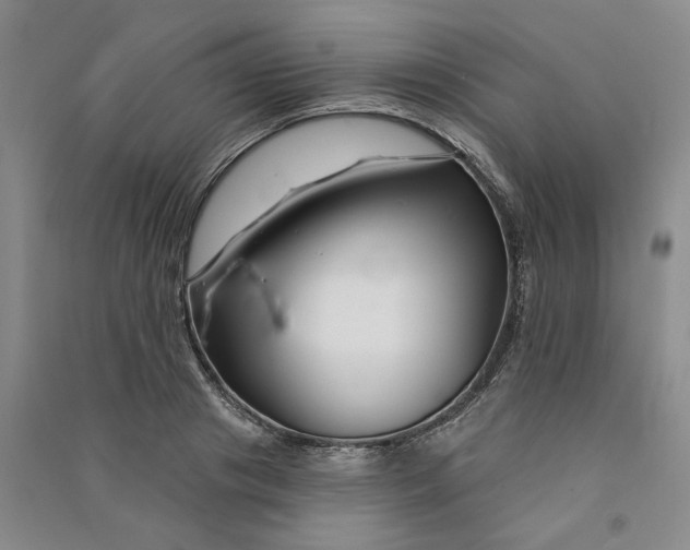 X0000090870841200708171624