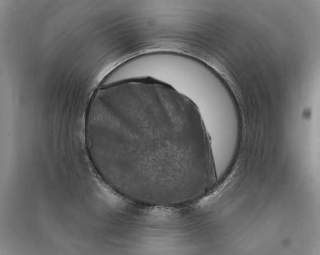 X0000090870842200708171624