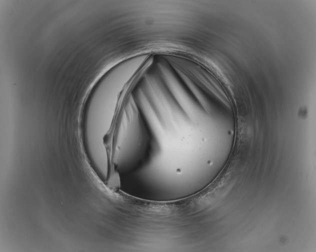 X0000090870843200708171624