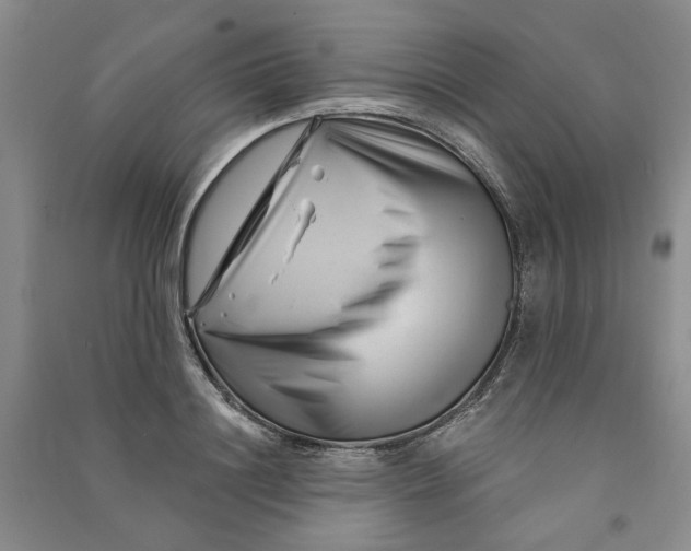 X0000090870844200708171624