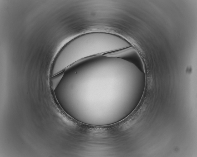 X0000090870846200708171624