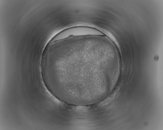 X0000090870847200708171624