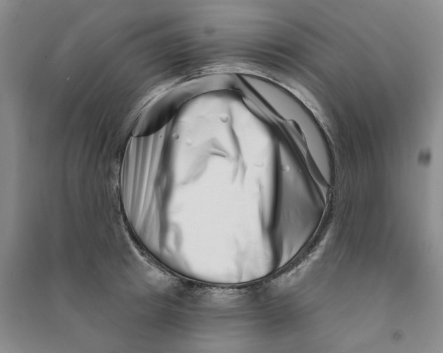 X0000090870849200708171624