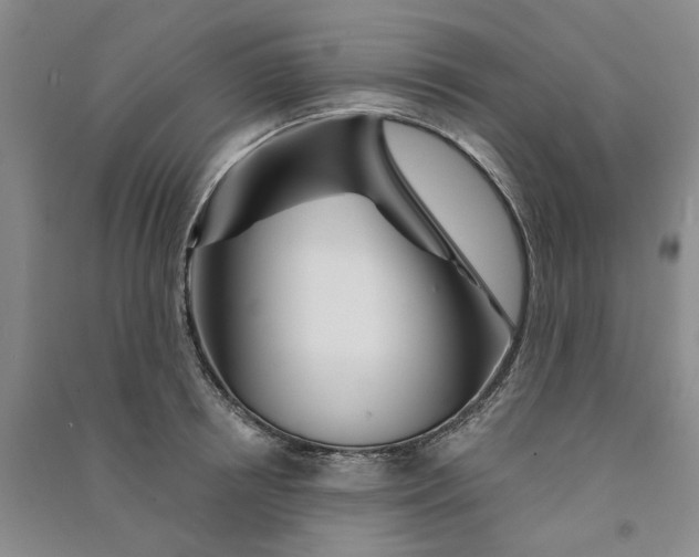 X0000090870850200708171624