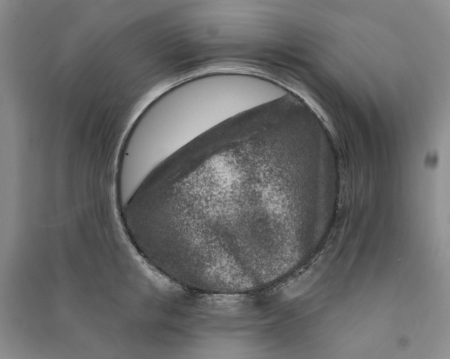 X0000090870853200708171624