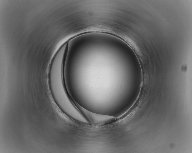 X0000090870854200708171624