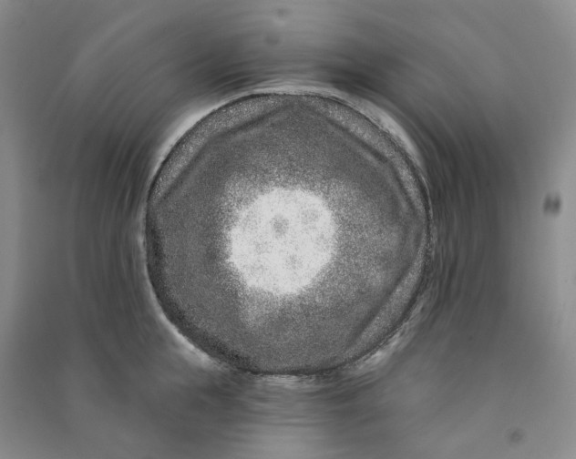 X0000090870855200708171624