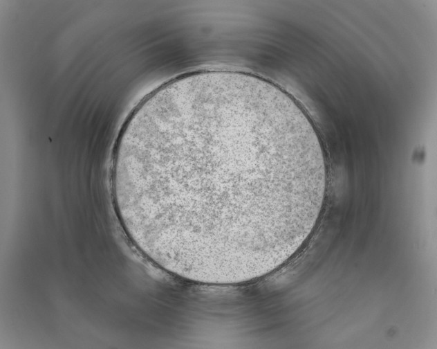 X0000090870856200708171624